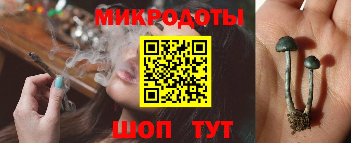 Кандалакша  Галлюциногенные грибы Psilocybine cubensis  Вход с VPN  Галлюциногенные грибы мухоморы 