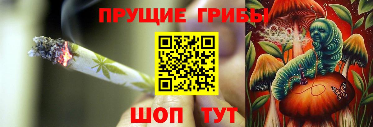 Псилоцибиновые грибы GOLDEN TEACHER Кандалакша
